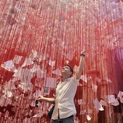 ���������� ����, ���� ������� ������, 47 ���, ������������ ��� ������, ����� � ���������, c�������� ���������