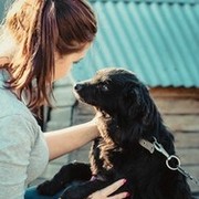 ���������� ����, ���� ������� ����, 36 ���, ������������ ��� ������, ���������