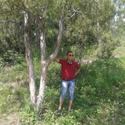  ,   , 44 ,     , c 