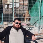 ���������� ���������, ���� ������� ������, 46 ���, ������������ ��� ������, ����� � ���������