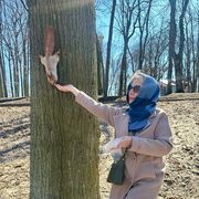 ����� �������. �������� � �������).