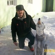  ,   , 62 ,   ,   , c 