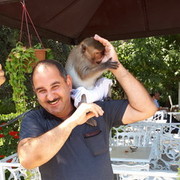 ���������� ����, ���� ������� Elman, 49 ���, ������������ ��� ������, ����� � ���������, c�������� ���������