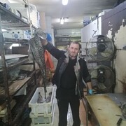 ���������� ������, ���� ������� ��������, 48 ���, ������������ ��� ������, ����� � ���������