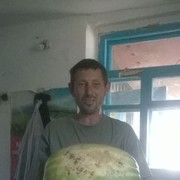  ,   , 44 ,   , 