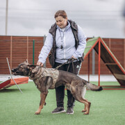 ���������� ���������, ���� ������� ��������, 34 ����, ������������ ��� ������, ����� � ���������, c�������� ���������, ���������