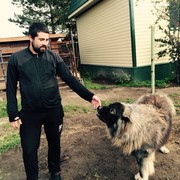 ���������� �������������, ���� ������� �������, 37 ���, ������������ ��� ������, ����� � ���������, c�������� ���������