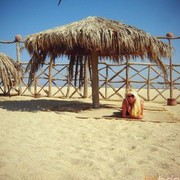  ,   argo, 36 ,     , c 