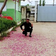  ,   , 36 ,   ,   