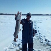 ���������� �������, ���� ������� ���������, 38 ���, ������������ ��� ������, ����� � ���������