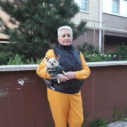  --,   , 61 ,   ,   