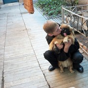 ���������� �������, ���� ������� ��������, 36 ���, ������������ ��� ������, ����� � ���������, c�������� ���������