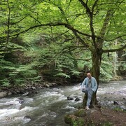 ���������� �������, ���� ������� Beka, 36 ���, ������������ ��� ������, ����� � ���������