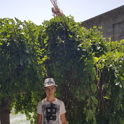  ,   , 27 ,   ,   , c 