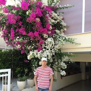  Limassol,   , 46 ,     , c 