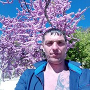  ,  , 41