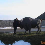 ���������� ���������, ���� ������� ���������, 46 ���, ������������ ��� ������, ����� � ���������, c�������� ���������