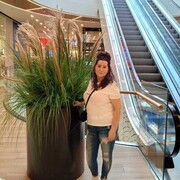  ,   , 62 ,   c 