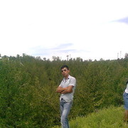  ,   , 34 ,  