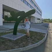  -,   , 45 ,   ,   