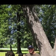 ���������� ���������, ���� ������� ������, 41 ���, ������������ ��� ������, ����� � ���������, c�������� ���������