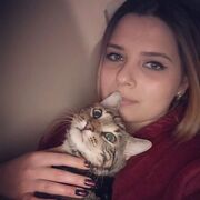  -,   , 28 ,   ,   
