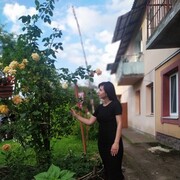  ,  , 25
