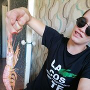 ���������� ��������, ���� ������� �������, 28 ���, ������������ ��� ������, ����� � ���������