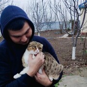 ���������� ���������, ���� ������� �������, 30 ���, ������������ ��� ������, ����� � ���������, c�������� ���������