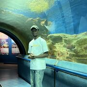 ���������� �����-���������, ���� ������� �������, 31 ���, ������������ ��� ������, ����� � ���������