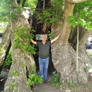  ,   Amran, 42 ,   ,   , 