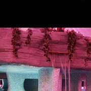 ���������� ������, ���� ������� ��������, 47 ���, ������������ ��� ������, ����� � ���������