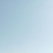 ���������� ���������, ���� ������� ��������, 38 ���, ������������ ��� ������, ����� � ���������