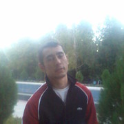 ���������� �������, ���� ������� Tigra, 40 ���, ������������ ��� ������, ����� � ���������, c�������� ���������