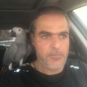  ,   Kaled, 49 ,   c 