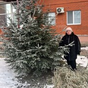 ���������� ������������, ������� �������, 75