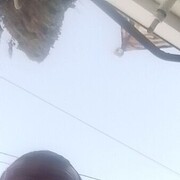  ,   , 40 ,     , c 
