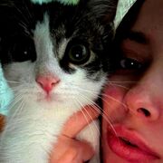 ���������� ������, ������