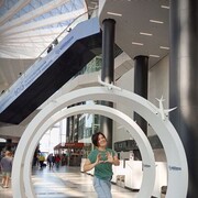 ���������� �����������, ���� ������� ����, 43 ����, ������������ ��� ����� � ���������, c�������� ���������