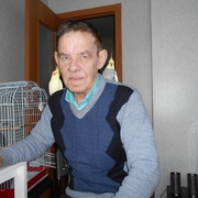 ���������� �����-���������, ���� ������� ��������, 72 ����, ������������ ��� ����� � ���������, c�������� ���������