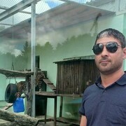  ,   , 41 ,   ,   