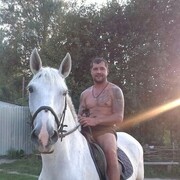 ���������� ���������, ������� �������, 43