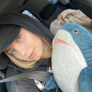 ���������� ���������, ������