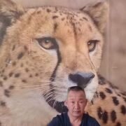  ,   , 59 ,   c , 