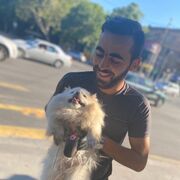 ���������� ���������, ���� ������� ���, 36 ���, ������������ ��� ������, ����� � ���������