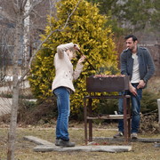 ���������� ������ ��������, ���� ������� Giorgi, 44 ����, ������������ ��� ������, ����� � ���������, c�������� ���������