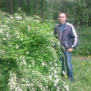  -,   , 40 ,   ,   , c 