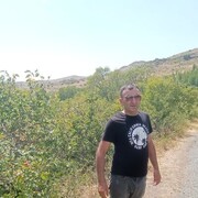  ,   , 41 ,   ,   , 