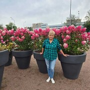 ���������� �����-���������, ���� ������� ����, 62 ����, ������������ ��� c�������� ���������