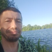  ,  , 44